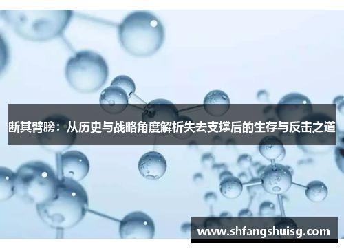 断其臂膀:从历史与战略角度解析失去支撑后的生存与反击之道 断其臂膀:从历史与战略角度解析失去支撑后的生存与反击之道